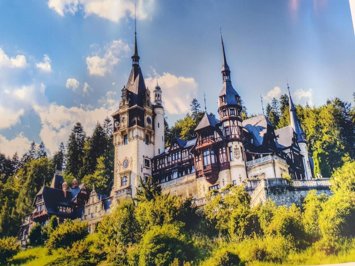 Downtown Park Loft Lägenhet Sinaia Exteriör bild